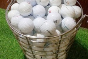 Giỏ đựng bóng golf inox cao cấp