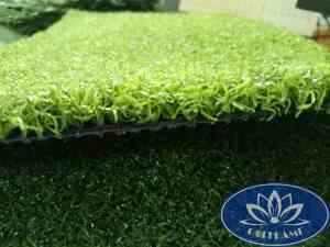 Mặt nghiêng cỏ nhân tạo sân golf CNT01