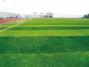 Sân cỏ nhân tạo chất lượng