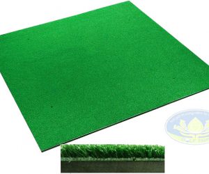 thamtapgolfnhap-1-1-300x250.jpg