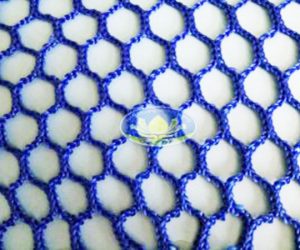 z633457616061_ba63bd26c6874d7774e3c55e7a225dc5-300x250-3-300x250.jpg