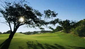 Một góc lung linh của sân golf The Bluffs
