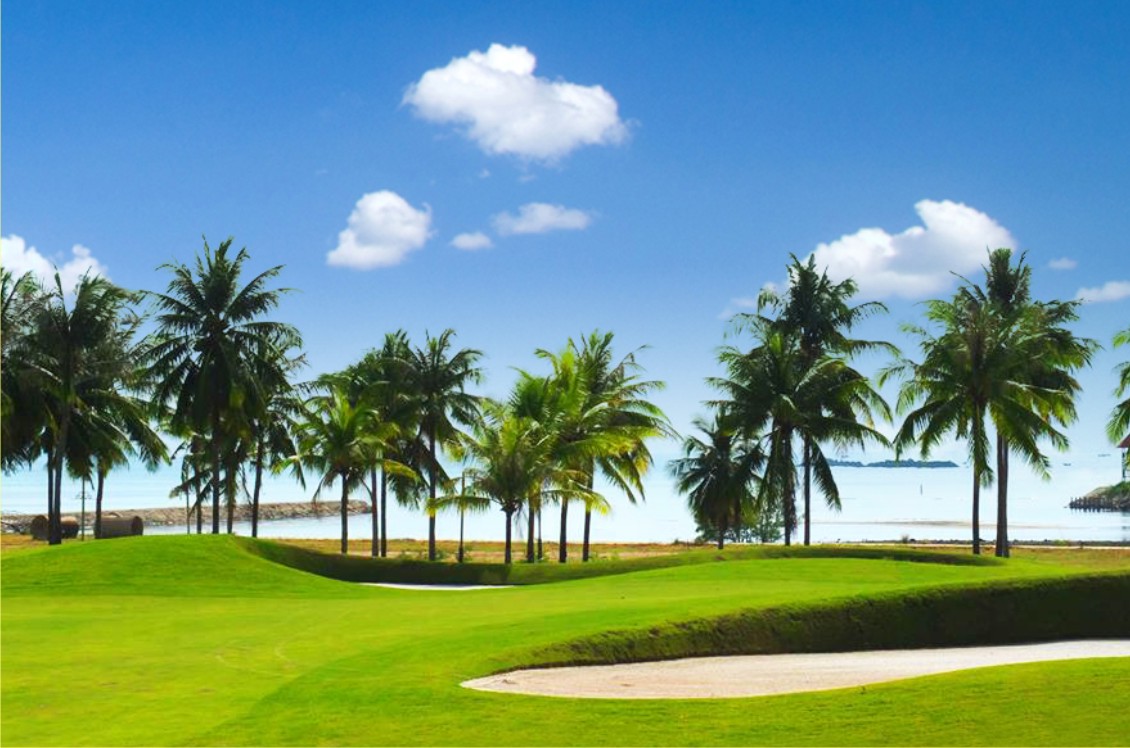 Sân tập Golf Dimond Bay hướng ra biển