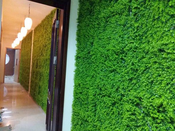 Cách dán cỏ nhân tạo lên tường