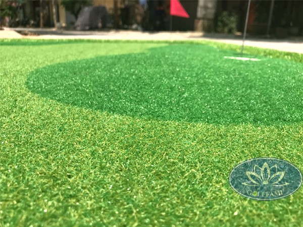 Thảm tập golf putting
