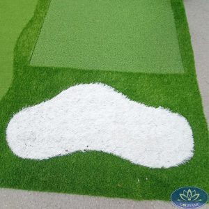 Cỏ sân vườn màu trắng nổi bật của Gomip33